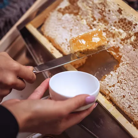 فندق Mare سافونا