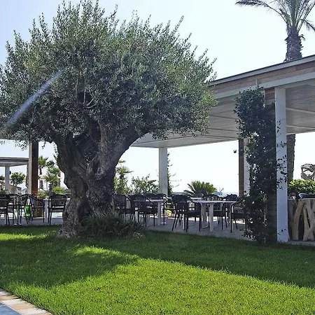 Mare Savona